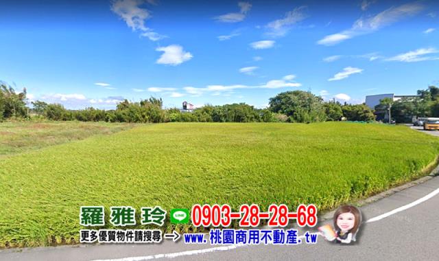 桃園八德農地-3