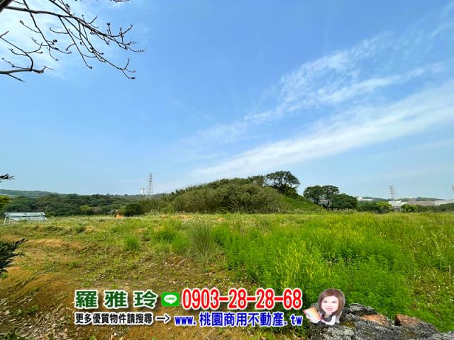 桃園平鎮農地-1