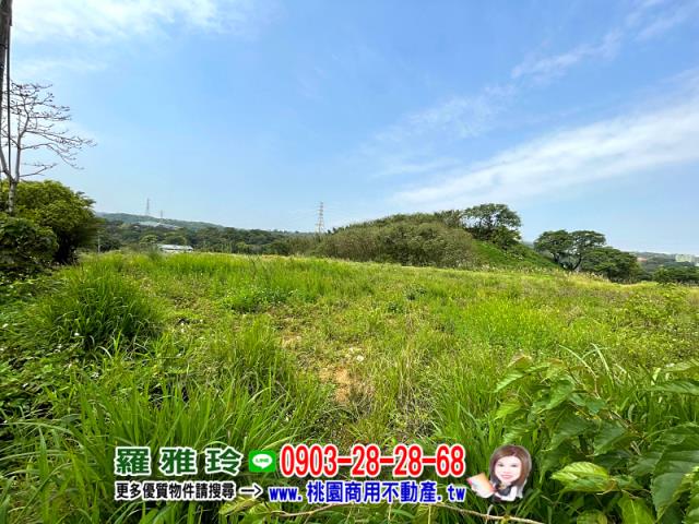 桃園平鎮農地-4