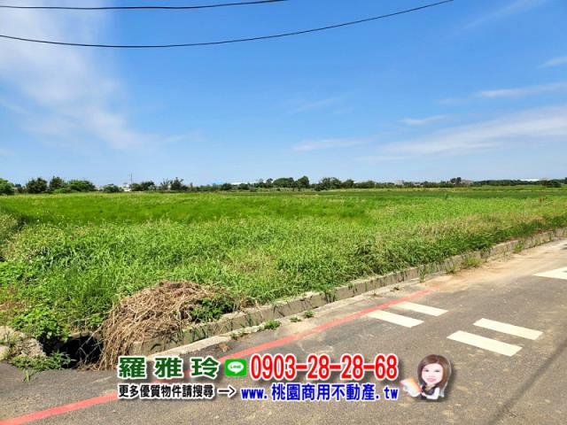 桃園觀音農地-9