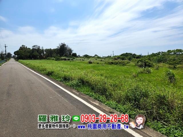桃園觀音農地-10