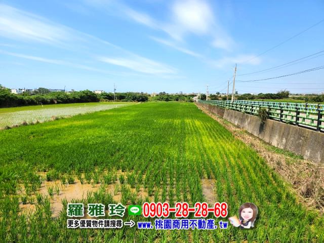 桃園觀音農地-11