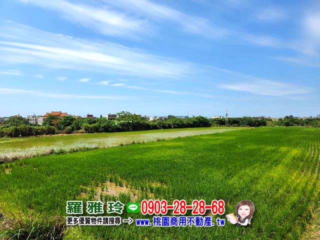 桃園觀音農地-12