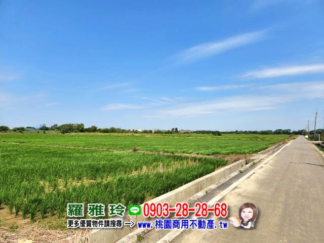 桃園觀音農地-6