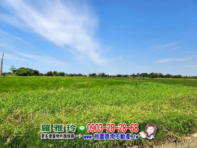 桃園觀音農地-7