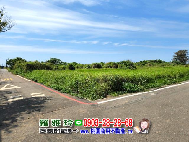 桃園觀音農地-8