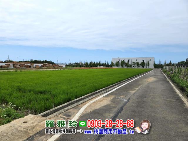 新屋農地-2