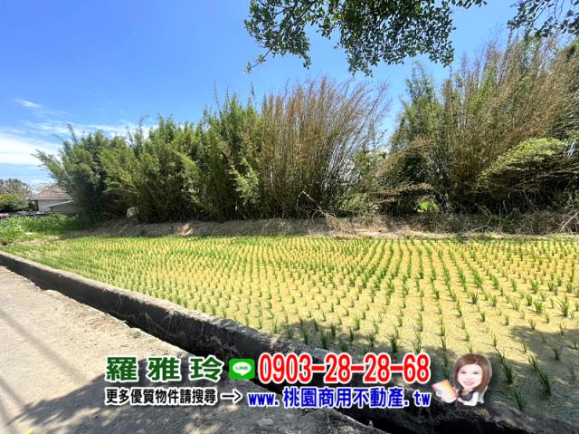 楊梅農地-1
