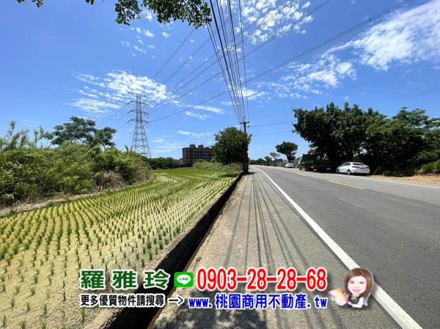 楊梅農地-3