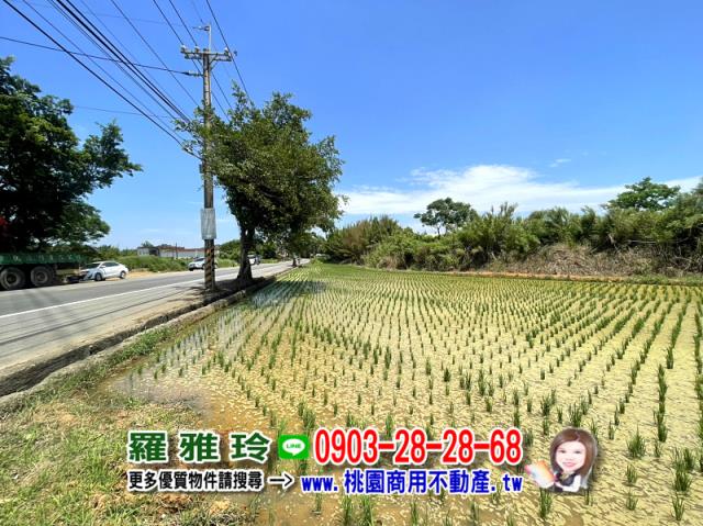 楊梅農地-5