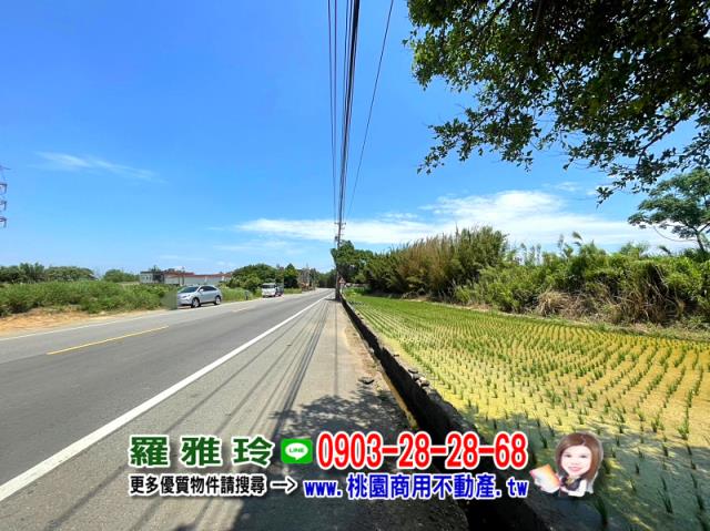 楊梅農地-6