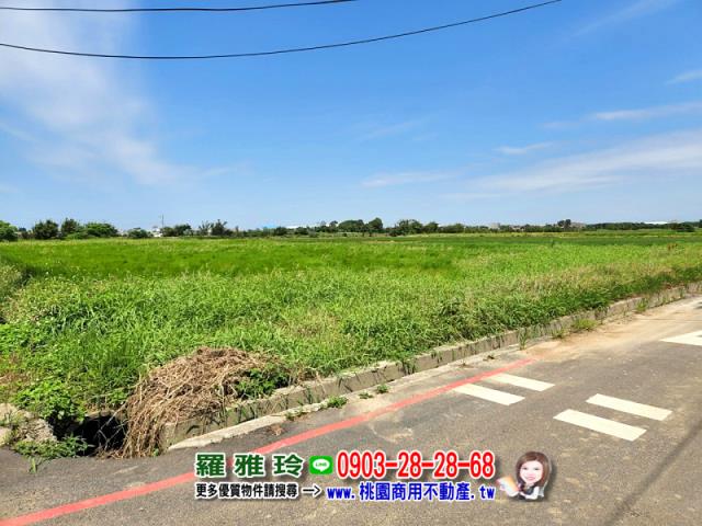 觀音農地-9