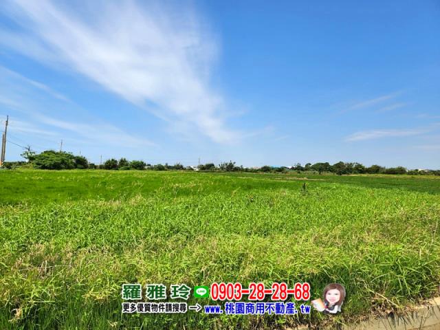 觀音農地-7