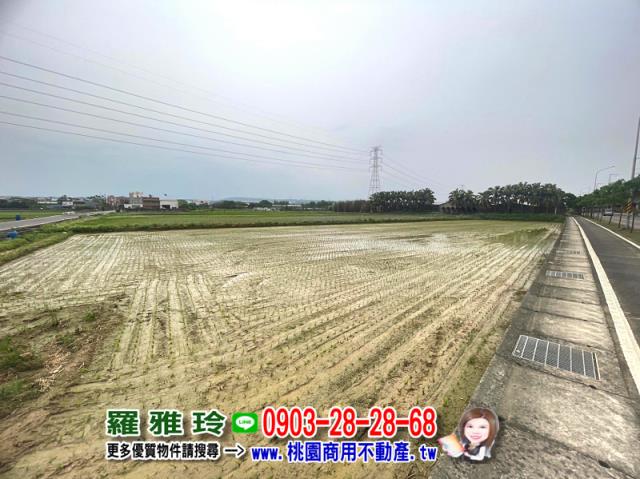 楊梅農地-3