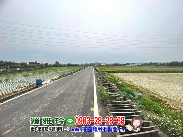楊梅農地-4