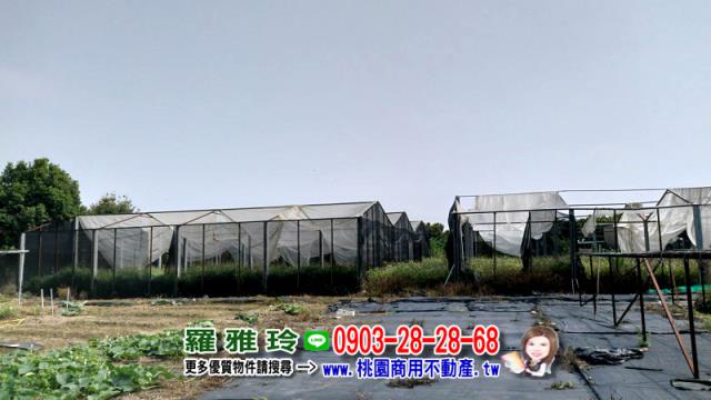 桃園農地-3