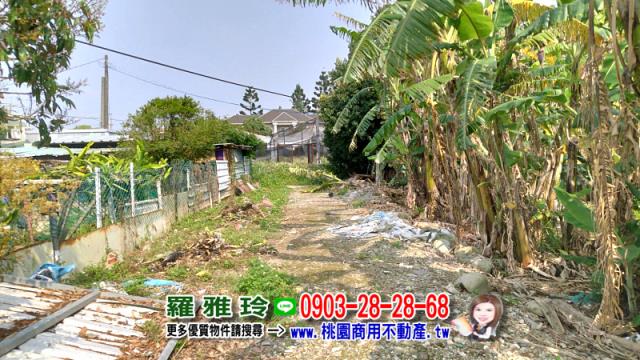 桃園農地-4