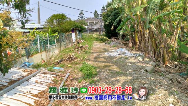 桃園農地-5