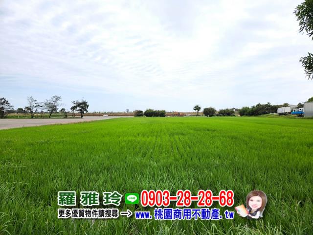 桃園農地-1