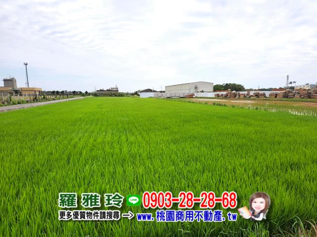 桃園農地-3