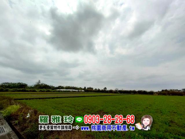 桃園農地-1