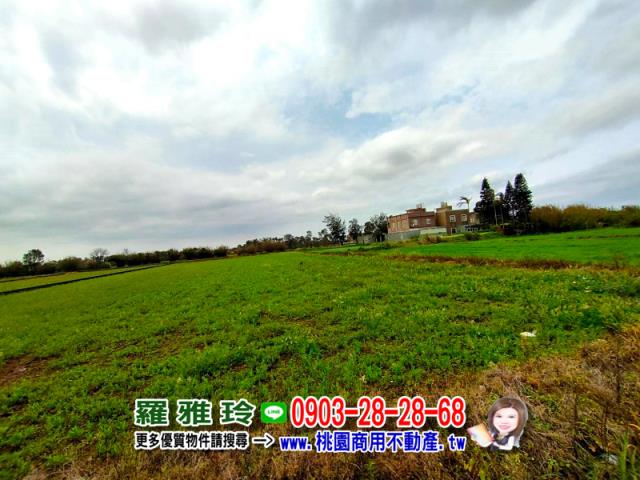桃園農地-2