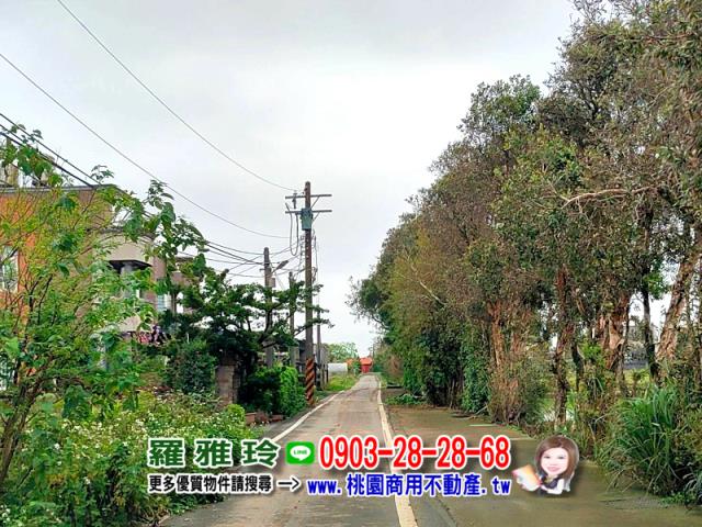 桃園農地-4