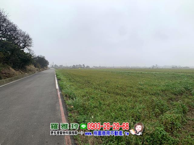 桃園農地-1