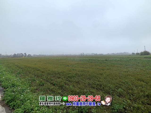 桃園農地-2