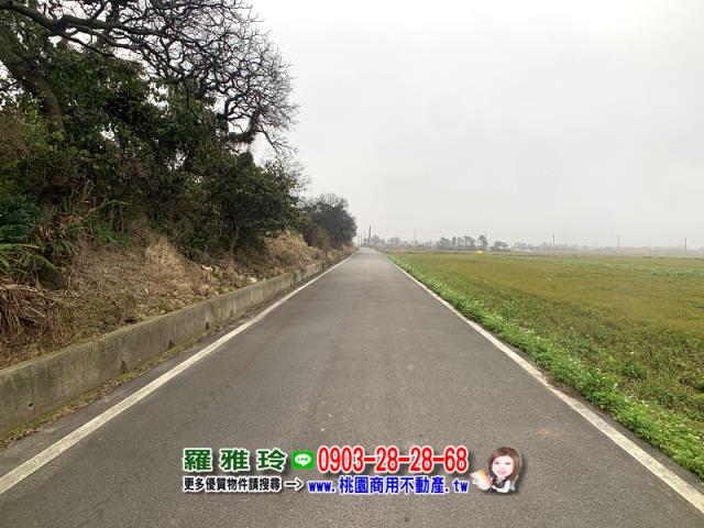 桃園農地-3