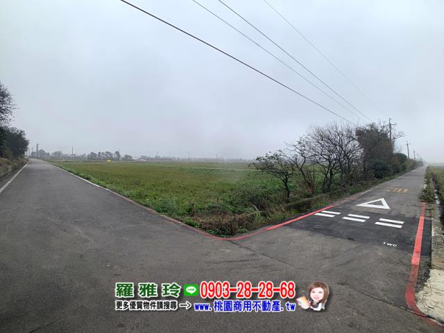 桃園農地-4