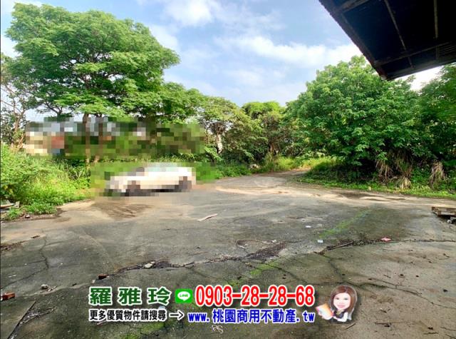 桃園八德農地-5