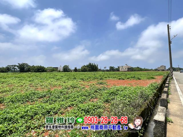 桃園觀音農地-1