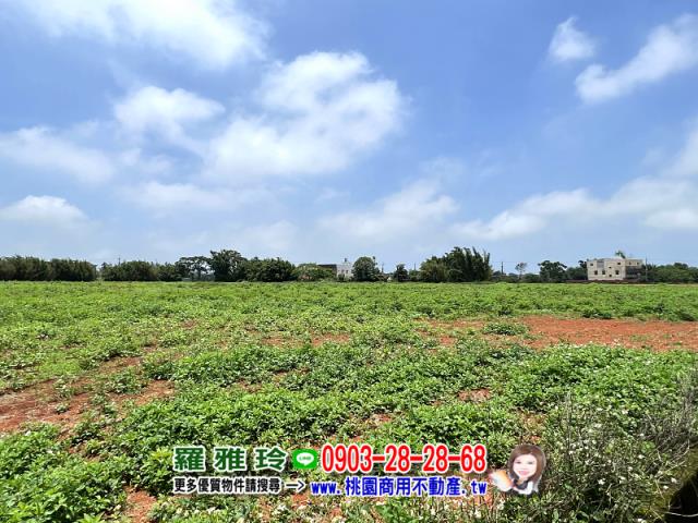 桃園觀音農地-2