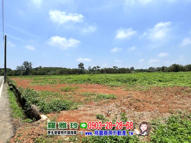 桃園觀音農地-3
