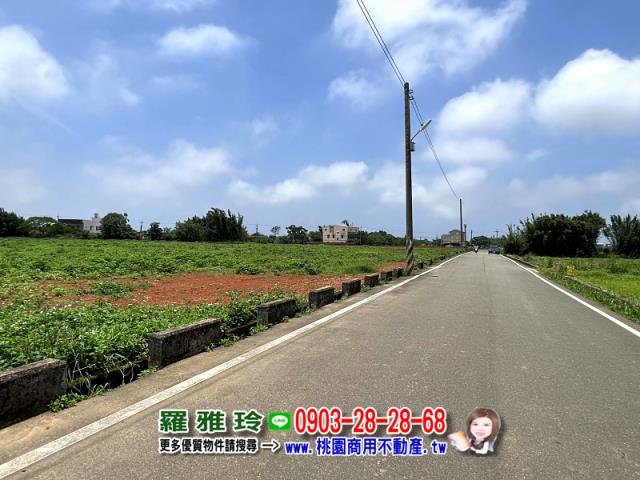 桃園觀音農地-6