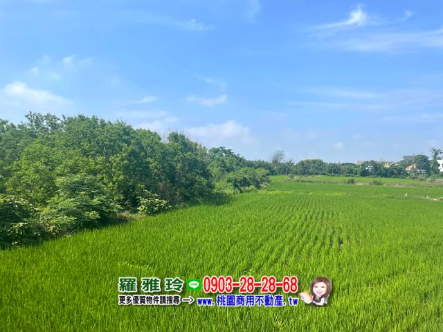 桃園觀音農地-4