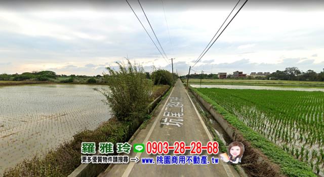桃園建地-1