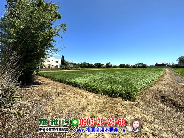 桃園觀音農地-3