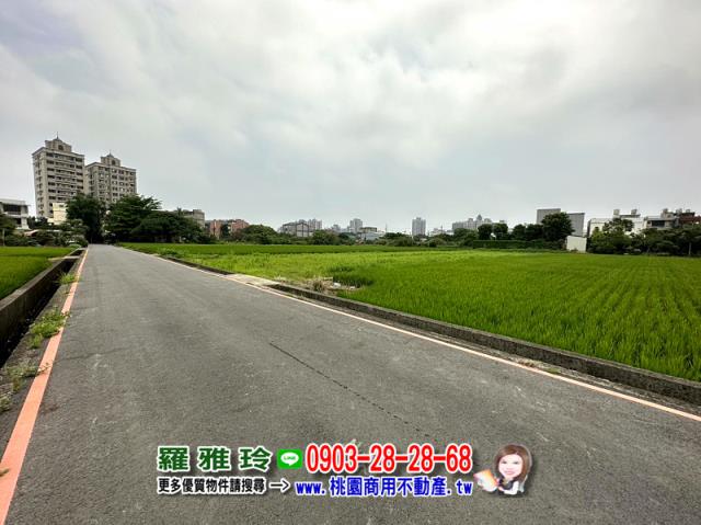 桃園蘆竹農地-1