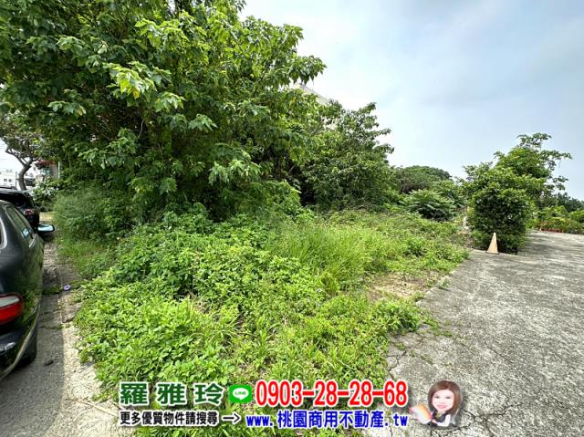 桃園蘆竹農地-2