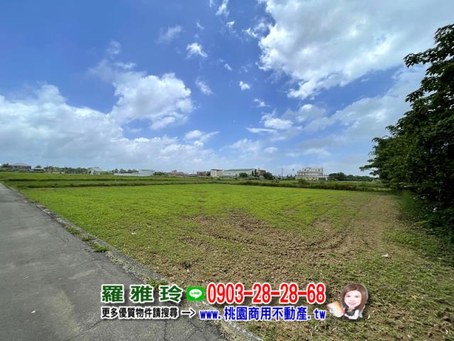 桃園中壢農地-1