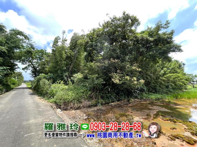 桃園中壢農地-2