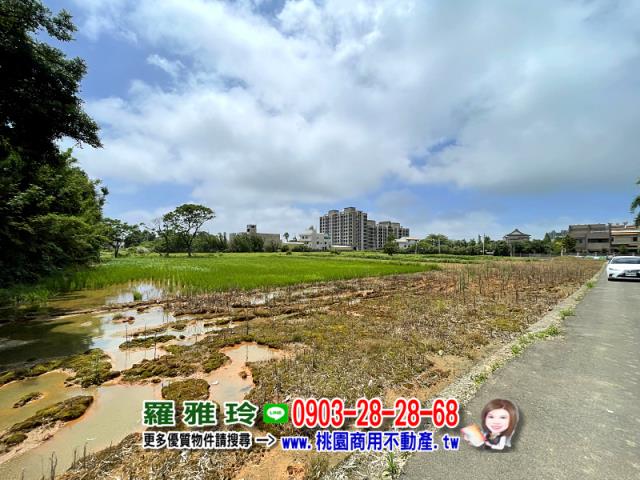 桃園中壢農地-3