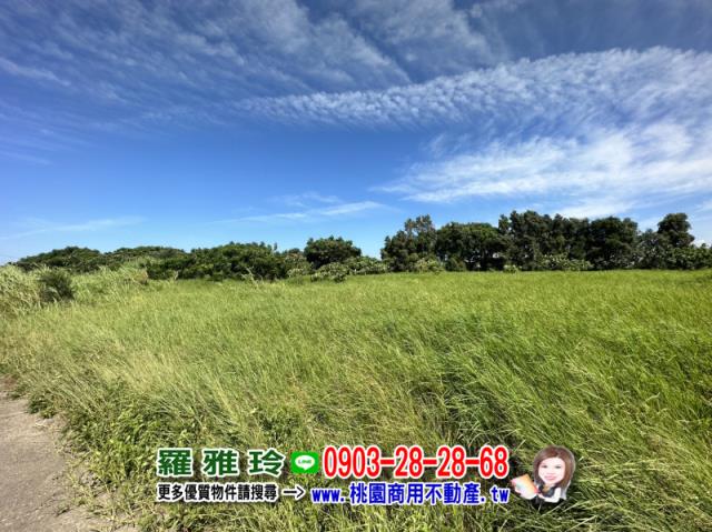 桃園觀音農地-1