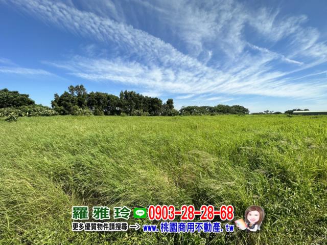 桃園觀音農地-2