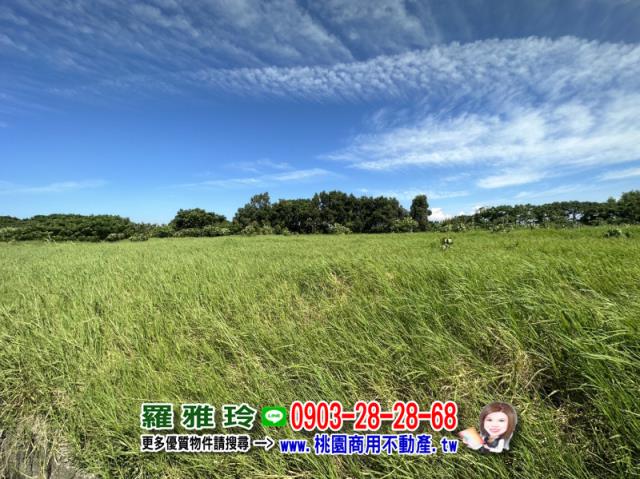 桃園觀音農地-4