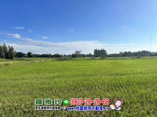 桃園觀音農地-2