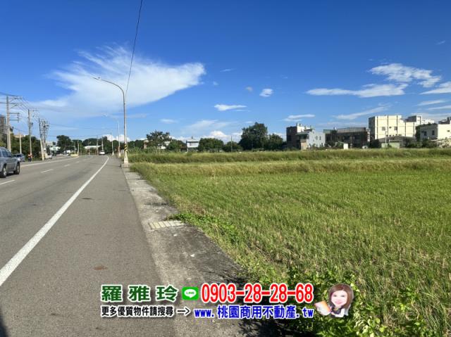 桃園觀音農地-3