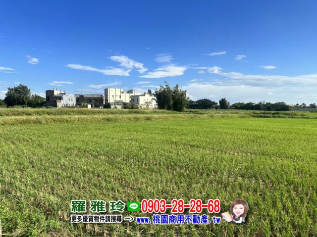 桃園觀音農地-4